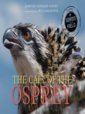 cover image of The Call of the Osprey